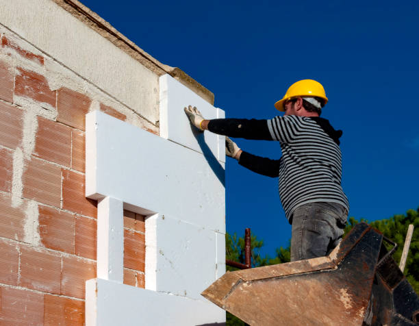 Best Residential Insulation in Fruitland, MD