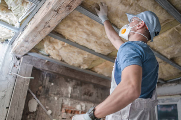 Best Commercial Insulation in Fruitland, MD