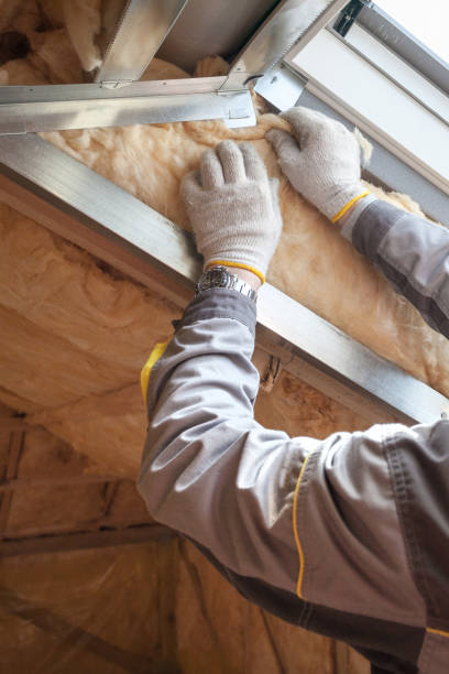 Types of Insulation We Offer in MD