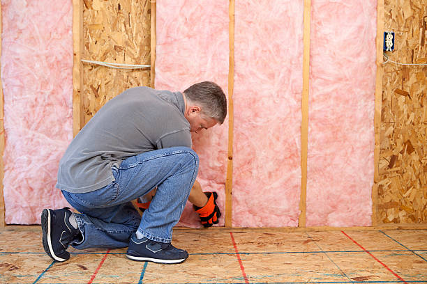 Best Insulation Installation Services in Fruitland, MD