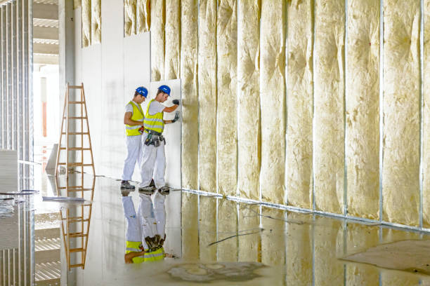 Best Insulation Maintenance and Repair in Fruitland, MD